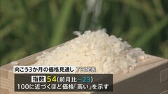 コメ価格見通し指数「向こう3か月」大幅低下 「値上がり落ち着く」との見方| TBS CROSS DIG with Bloomberg