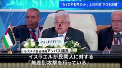 「カイロ平和サミット」開催　ガザ緊張緩和や人道支援の方策を協議| TBS CROSS DIG with Bloomberg