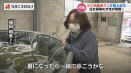 「一緒に泳ぎたいくらい」幻の高級魚 クエを “夢の陸上養殖” 福田明美さん(61)  ホテル元料理長と起業　定年後の夫も巻き込んで…|TBS NEWS DIG