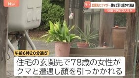 秋田でクマ被害 3人けが 78歳女性が玄関先でクマに顔を引っかかれる 83歳男性も玄関先で襲われる|TBS NEWS DIG