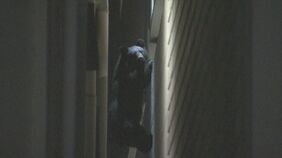 暗闇で光る目…温泉街のホテル駐車場にクマ 約5時間とどまる 捕獲できず川へ逃走 福島|TBS NEWS DIG