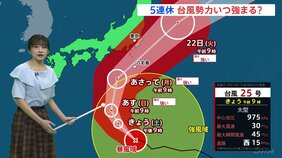 【台風情報】20～21日にかけて台風25号は伊豆諸島や関東に近づく見通し　21日(月)には一段と雨風強く…土砂災害や浸水に警戒【予報士解説】|TBS NEWS DIG