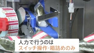 “おにぎり1時間3000個” 食品をつくる最新ロボット・機械の展示会「FOOMA JAPAN」開幕　人手不足の「手助け」となるか　国内外から1000超の企業が参加| TBS CROSS DIG with Bloomberg