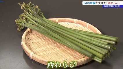 岩手・西和賀町の特産「西わらび」がGI登録後、初の収穫期迎える 今年
