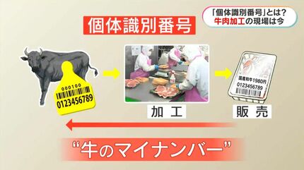 県外からの注文減った」憤る同業者も 水迫畜産の「牛肉の不適正表示