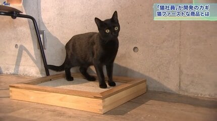 猫社員」と商品開発 岩手から世界へ “ネコファースト”な製品とは | IBC