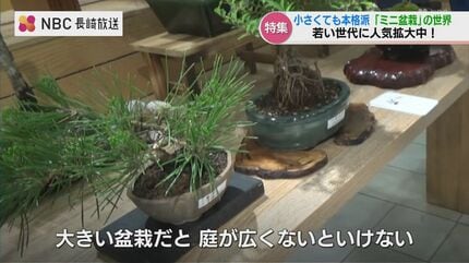 ちっちゃい大木をつくる “盆栽” 若手植木職人が鉢の上で描く『大自然の