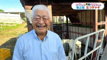徳之島・伊仙町で珍しい“ヤギの五つ子”誕生 81歳の飼い主も子育てに
