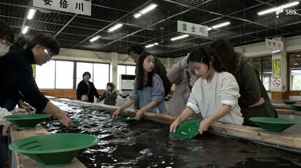 金”の体験施設「土肥金山」がリニューアル 50本の黄金の鳥居に「宝石