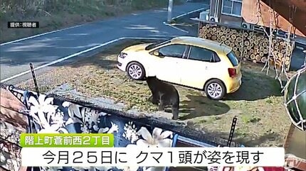 のそのそと…防犯カメラが捉えた体長約1.5mの太ったクマ 約40秒後には