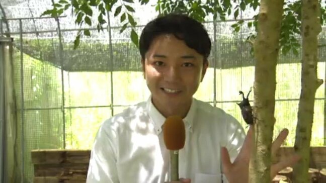 「ツルツルしていてかたいです!!」 松山の野外活動センターでカブトムシと触れ合えるイベント開催中 8月17日まで 愛媛・松山市|TBS NEWS DIG