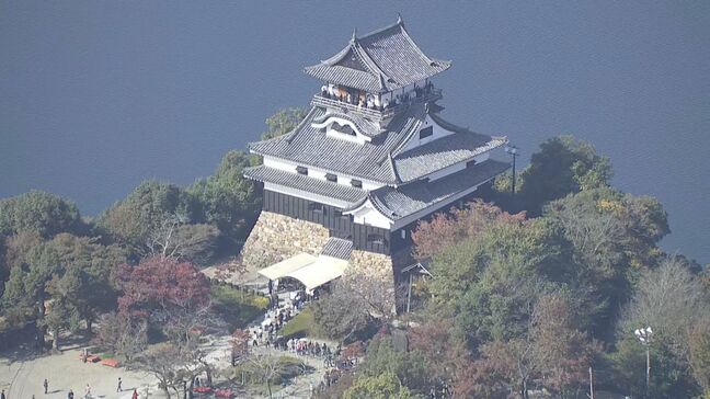 愛知･犬山城の入場者“過去最多”更新か そんな中…2026年3月から入場料2倍近く値上げ ｢文化財を守るために必要｣|TBS NEWS DIG