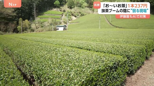 “ペットボトルのお茶” 来月値上げ 「お~いお茶」237円に 主な要因は容器代や燃料費の高騰も…世界的な抹茶ブームの陰に弱る現場|TBS NEWS DIG
