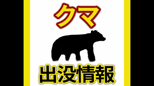 広島市安佐動物公園で野生のクマを確認　設置していたカメラに映る　西園の一部を閉鎖|TBS NEWS DIG
