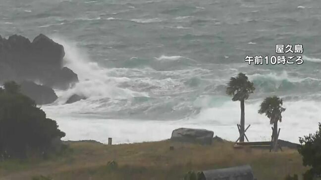 海の便　欠航相次ぐ　全域に強風注意報、最大4メートルのしけ　鹿児島|TBS NEWS DIG