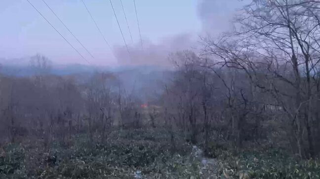 「豚舎から出火しています」苫小牧の豚舎で火事　けが人なし　豚１００匹以上が被害か…|TBS NEWS DIG