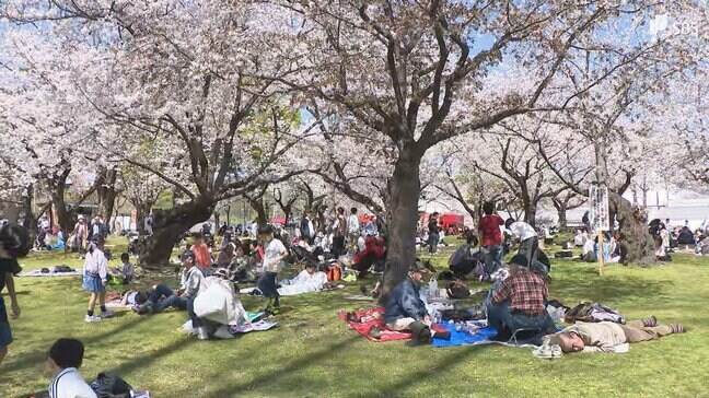 第70回静岡まつりが開幕！ 満開の桜の下で楽しむお花見 物価高で「予算は14％減少」の節約志向も|TBS NEWS DIG