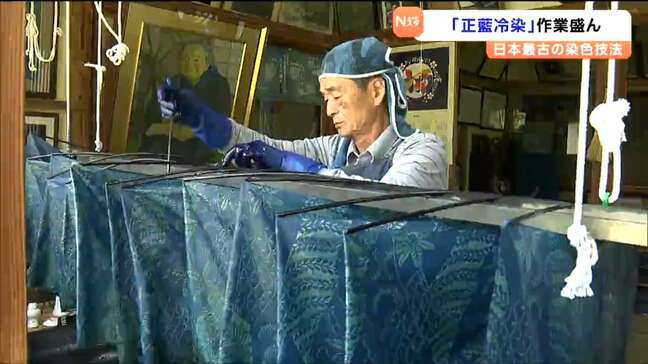 「先代に教えられたことは完璧にやっている」平安時代から続く「正藍冷染(しょうあいひやぞめ)」作業最盛期 宮城・栗原市|TBS NEWS DIG