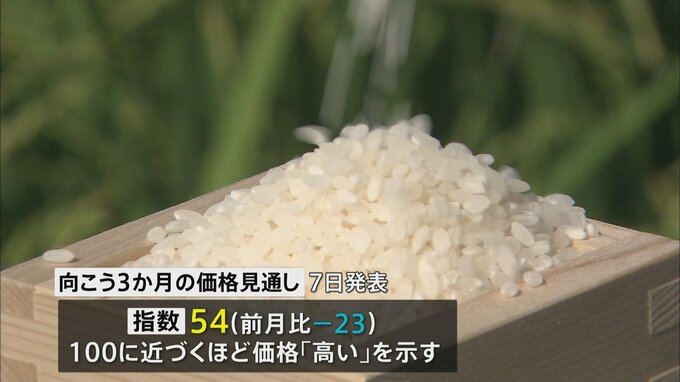 コメ価格見通し指数「向こう3か月」大幅低下 「値上がり落ち着く」との見方