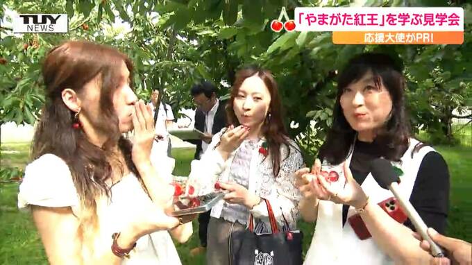 「きれい～！」「美味なり！」期待の大玉新品種”やまがた紅王”の歴史を”やまがた紅王応援大使”たちが学ぶ！ 山形県は来年でフルーツ栽培150周年　|　山形のニュース│TUYテレビユー山形