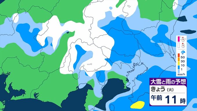 【大雪と大雨】関東甲信は１日夕方にかけ山沿いなどで大雪、平地でも積雪の所　関東地方南部の平地で１ｃｍ予想|TBS NEWS DIG