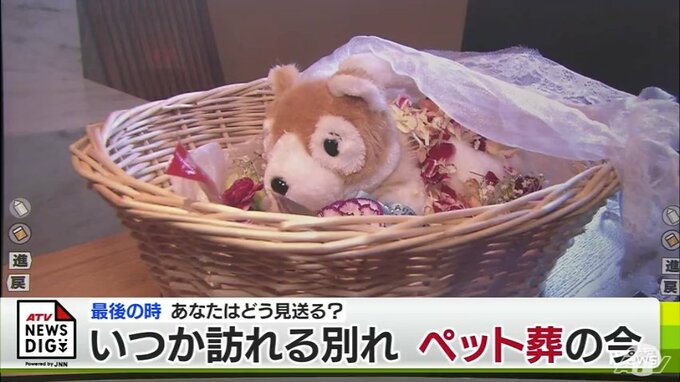 どう迎える？いつか訪れる大切な命とのお別れ「ペット葬」の今|TBS NEWS DIG