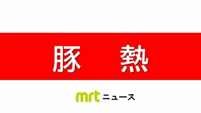 日之影町で野生イノシシから豚熱確認　発見されたのは豚熱経口ワクチン散布地域の圏外|TBS NEWS DIG