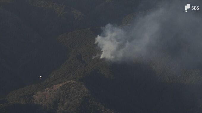 【速報】「山のほうから煙が出ている」静岡・藤枝市で山林火災　現在も延焼中で防災ヘリによる消火活動実施|TBS NEWS DIG