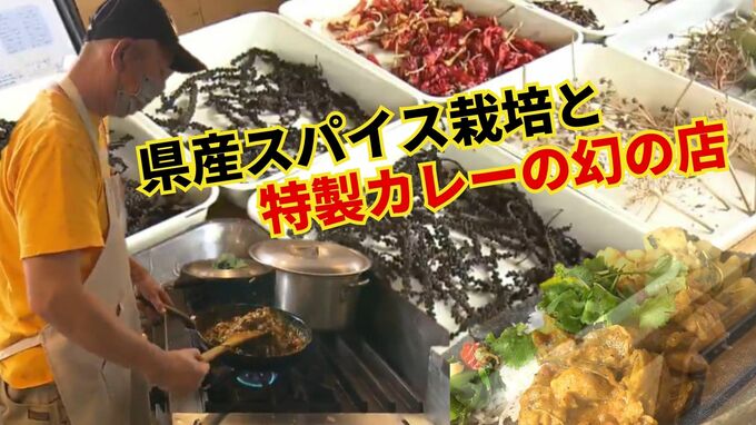 沖縄でスパイス栽培⁉不定期に開店する幻のポップアップレストランとは【Aランチ】|TBS NEWS DIG