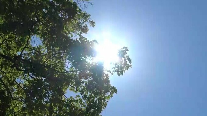 【交通情報】芸備線と福塩線の一部で一時運転見合わせ　レールの温度上昇で|TBS NEWS DIG