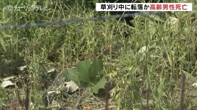 草刈り中に転落したか　崖下に倒れている82歳の男性見つかる　富山・黒部市|TBS NEWS DIG