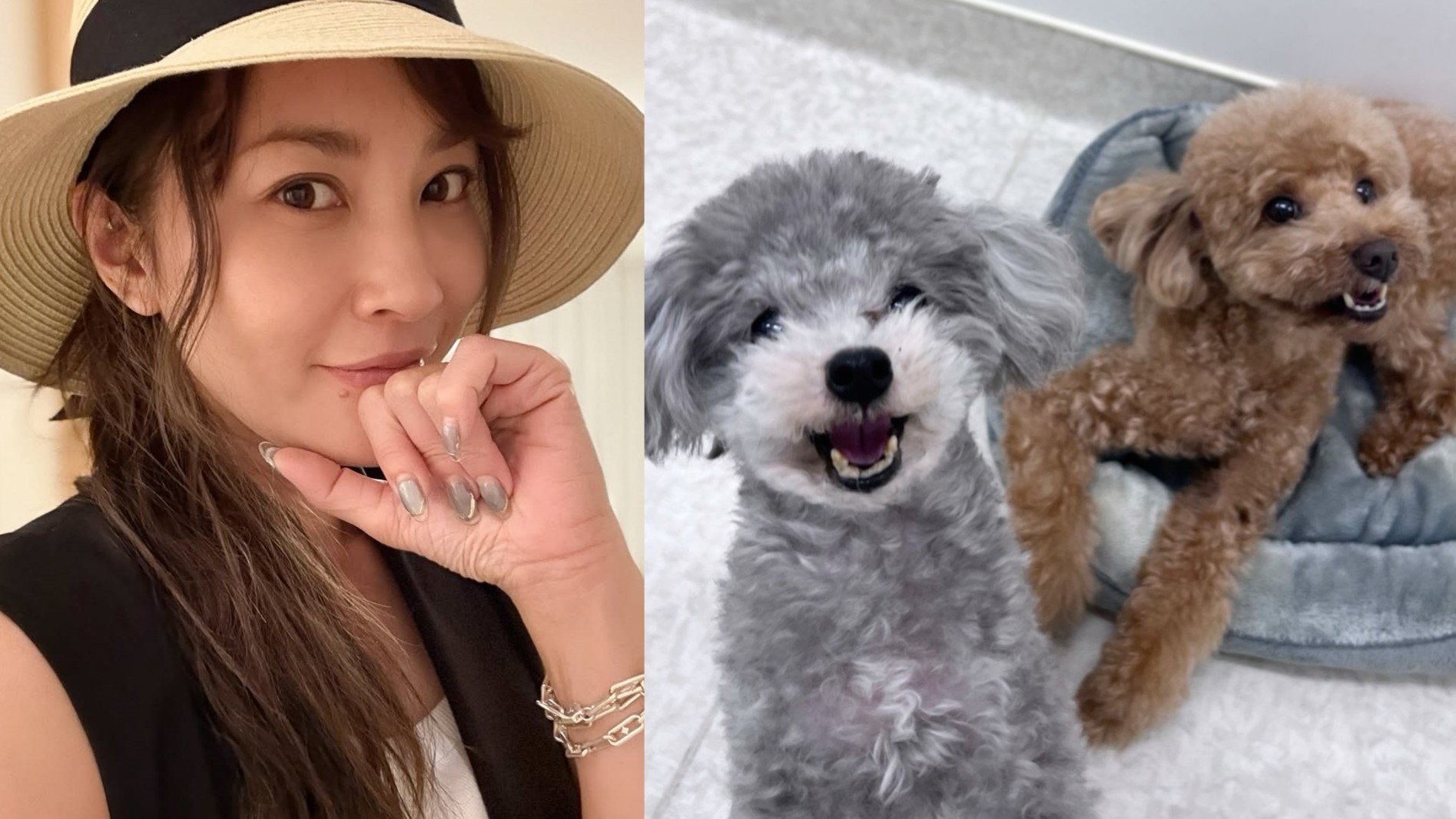 いぬ 】瀬戸朝香さんの愛犬サニー＆チョコ 猛暑でも「ニッコリ
