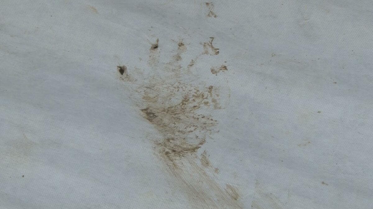 詳報】クマに襲われ50代男性負傷 被害女性の娘「私が襲われていたら