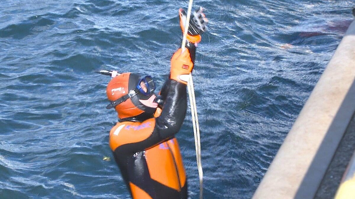 img_3544cbaa0126635a0bd7354659