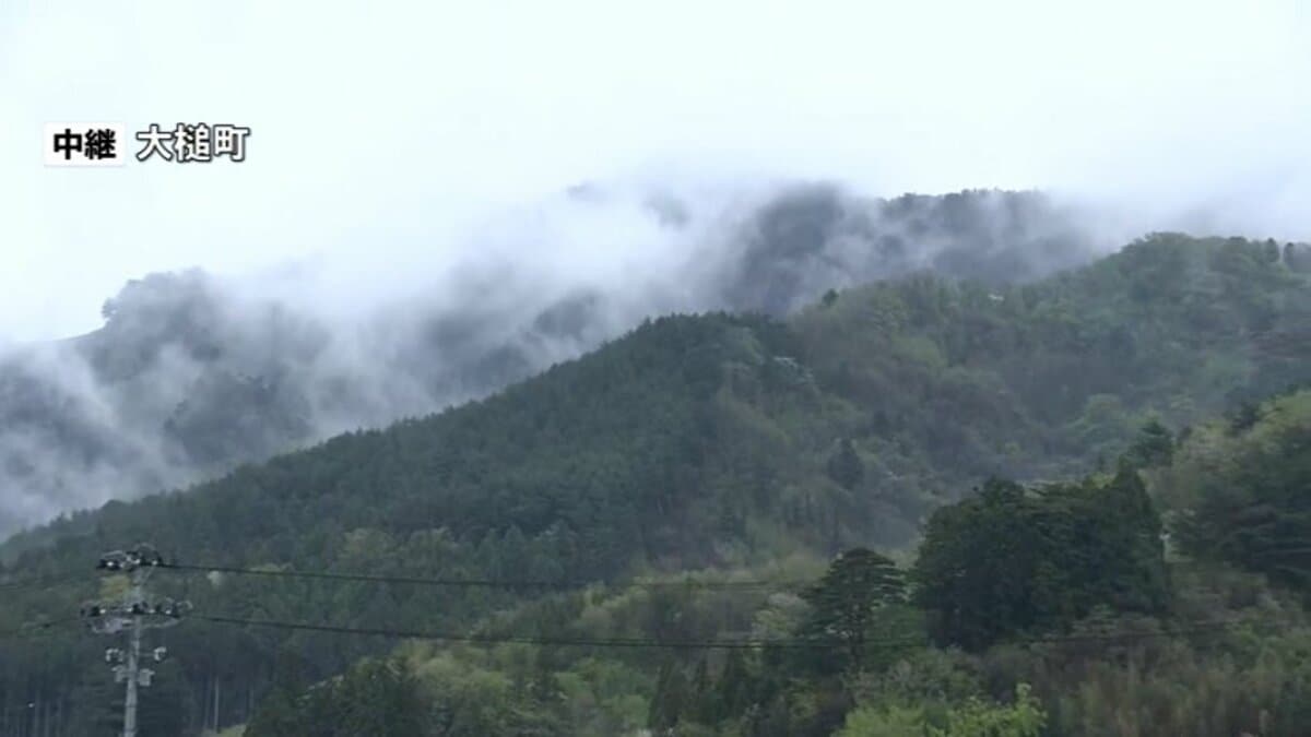 中継】大槌山林火災7日目夜 雨と延焼は | TBS NEWS DIG フォトギャラリー