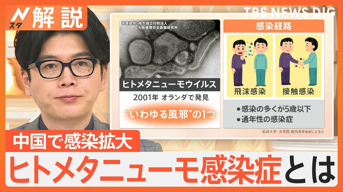 ヒト メタ ニューモ ウイルス 大人