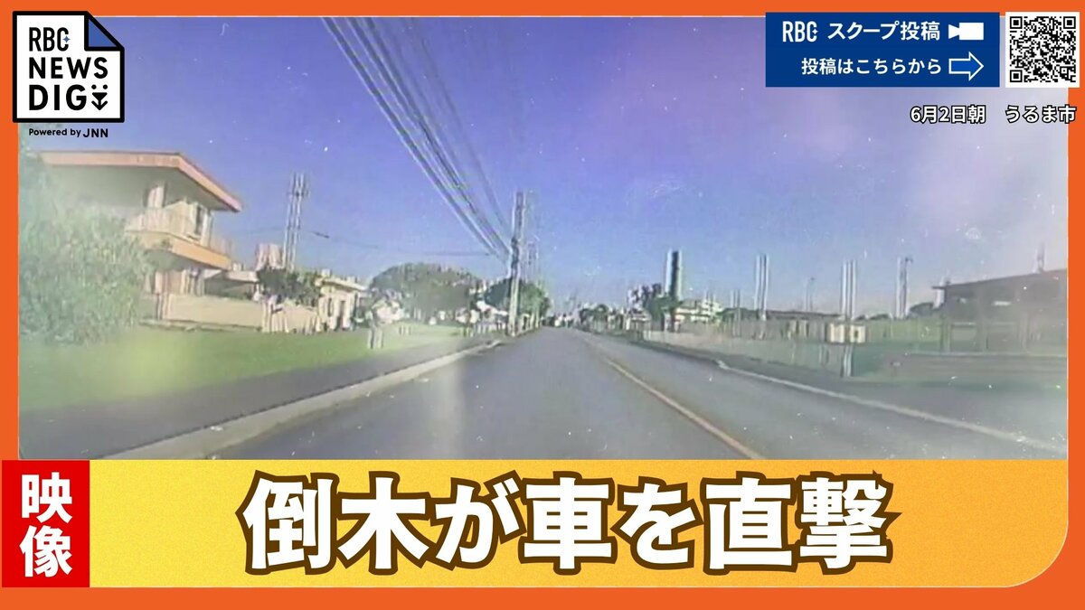 【瞬間の映像】台風6号の影響か　倒木が通勤途中の車を直撃「ブレーキ踏む間もなく」 前日に最大瞬間風速40.6メートルを観測の沖縄