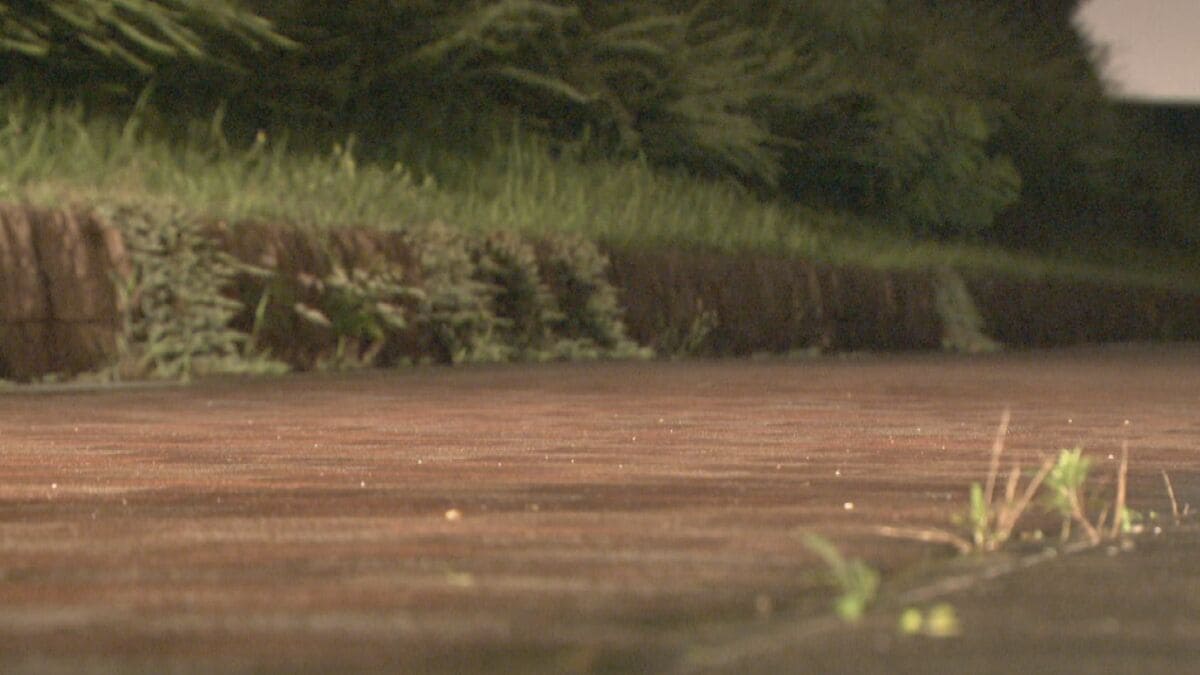 ｢男に刺されお金を取られた｣ は“嘘”だった 購入した包丁で自分を刺す… 偽計業務妨害の疑いも視野に捜査 愛知･長久手市