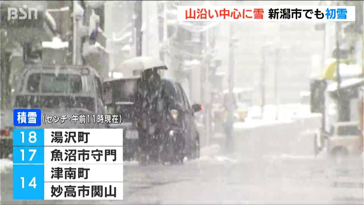 寒波襲来 新潟県内は山沿いを中心に雪 湯沢町では18cm 新潟市でも3日夜