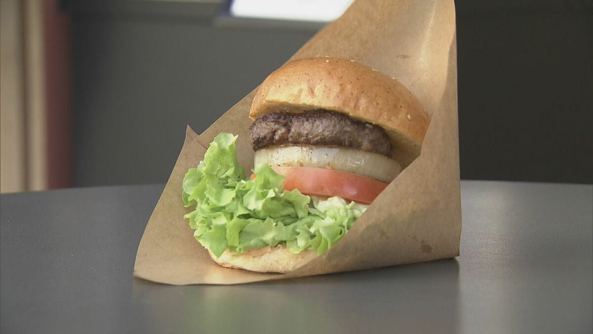 “ご当地ハンバーガー”が味わえる「とよはしハンバーガー フェス2026」 近江牛を使ったハンバーガーやうなぎを挟んだライスバーガーなども楽しめる 約20店舗が出店 愛知・豊橋市