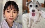 【 真木よう子 】愛犬シェリーが退院〝皆様の優しさが大きな支えになりました〟今後は定期的に通院|TBS NEWS DIG