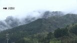 【中継】大槌山林火災7日目夜　雨と延焼は|TBS NEWS DIG