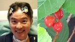 【 ALS闘病 】声優・津久井教生さん　ベランダ桜のサクランボの実「そぉっと育っていたのです♪」「しかも３粒並んでいます〜」【ニャンちゅう】|TBS NEWS DIG
