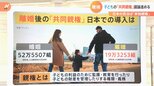 離婚後の「共同親権」日本での導入は? 現在の民法では父母いずれかの「単独親権」 それぞれの「課題」と「今後の議論」|TBS NEWS DIG