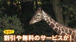 祝日じゃないけど学校休み…愛知で去年に続く “県民の日学校ホリデー” 無料や割引サービスも 家族の本音は? | 名古屋・愛知・岐阜・三重のニュース【CBC news】 | CBC web