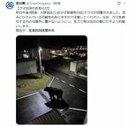 町が公式Xに投稿のクマ画像「生成AIフェイク」だった 注意喚起もその後 偽物と判明「作成者本人から申し出」　宮城・女川町|TBS NEWS DIG