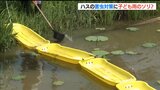 東洋一のハスを守れ!「黄色のソリで害虫対策」一体なぜ? 新潟県上越市|TBS NEWS DIG