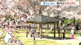県内は春本番の暖かさ・各地で花見日和に 長野|TBS NEWS DIG
