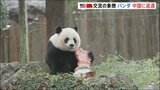 “米中交流の象徴”　ワシントンのジャイアントパンダ　中国に返還|TBS NEWS DIG
