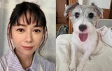 【 真木よう子 】愛犬シェリーが退院〝皆様の優しさが大きな支えになりました〟今後は定期的に通院|TBS NEWS DIG